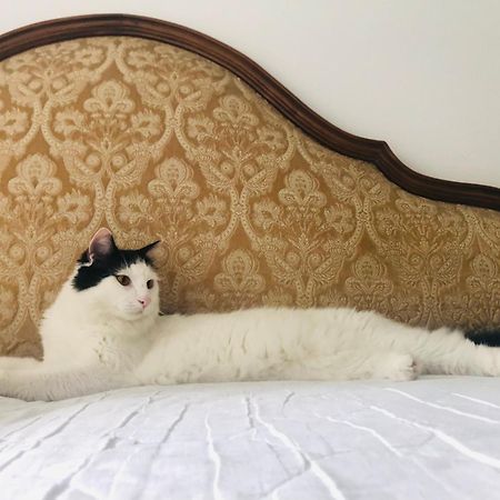 B&B Haus Senter Trambileno Dış mekan fotoğraf