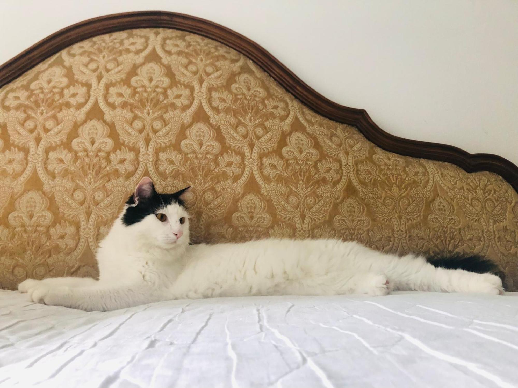B&B Haus Senter Trambileno Dış mekan fotoğraf